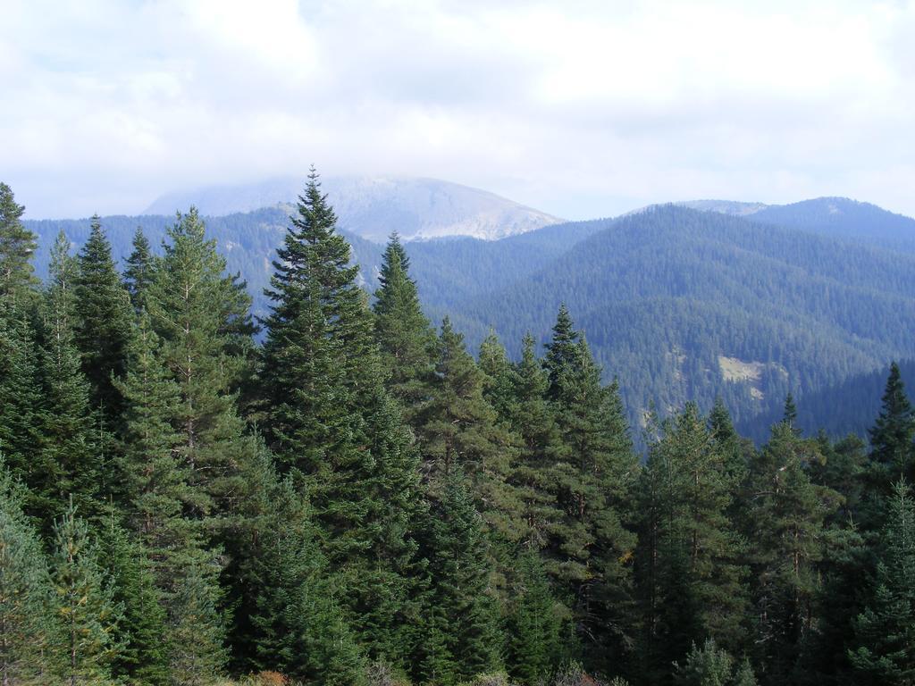 Jura Mountain 5* Ilgaz