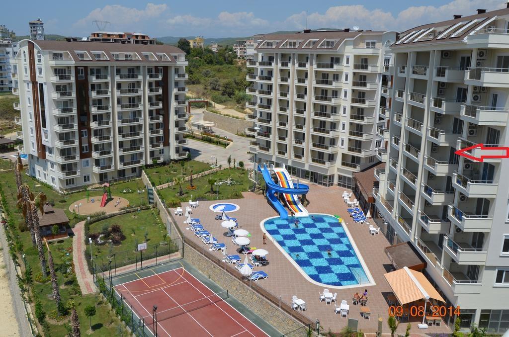 Apartment Orion C24 *