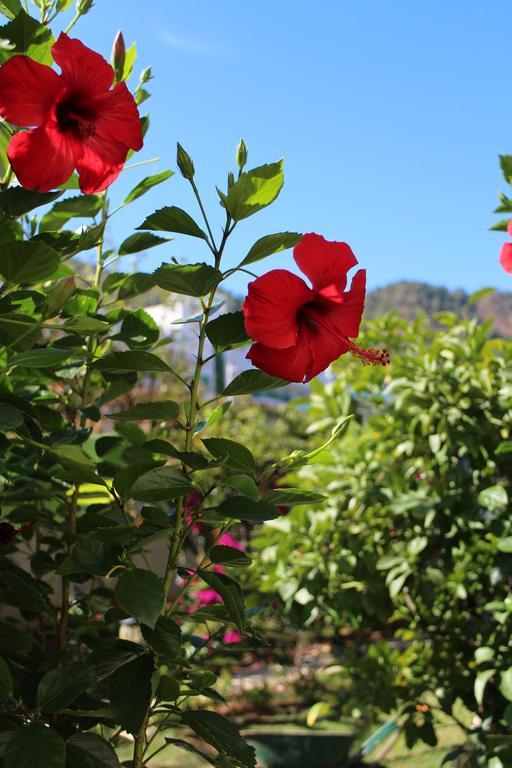 Oersmaris Boutique Hotel Marmaris