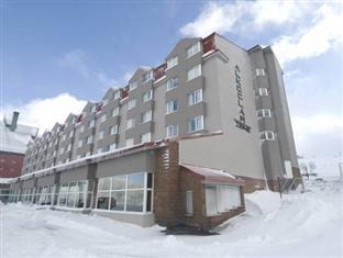 Kaya Hotel Uludag (Bursa)
