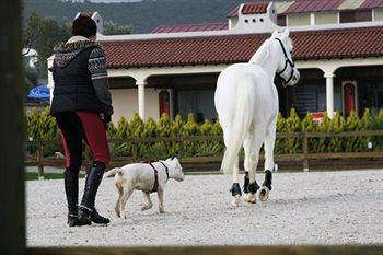 Konvoy & The Country Club Country house Seferihisar
