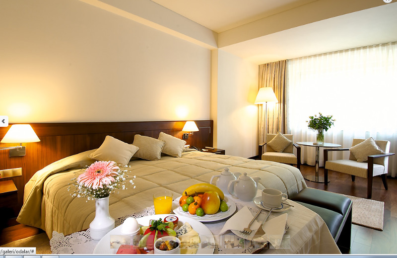 Hotel Ontur 4*