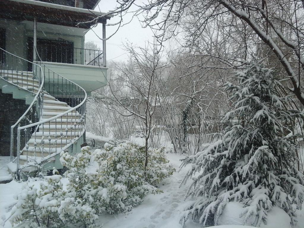 Bed & Breakfast Vira Creek House Agva (Marmara)