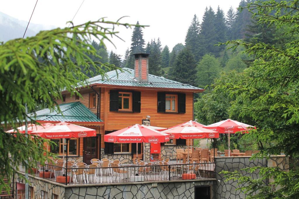 Hotel Avusor *