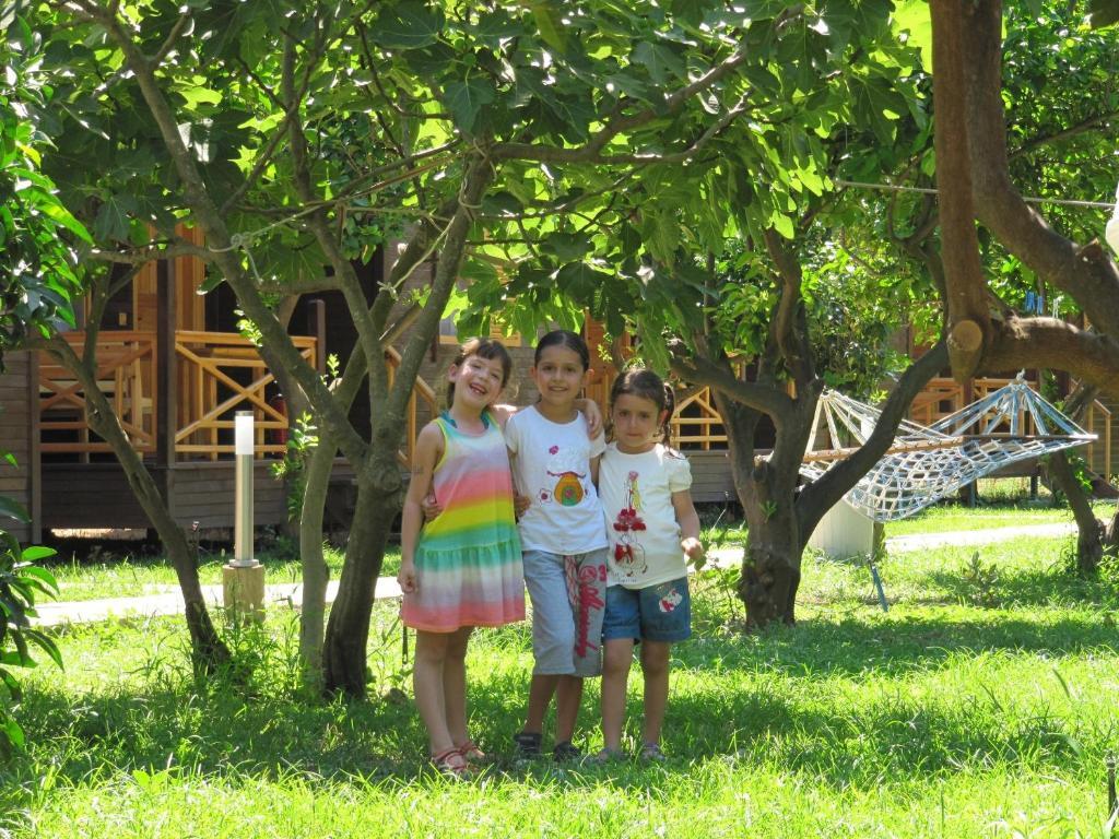 Baris & Holiday park 2*