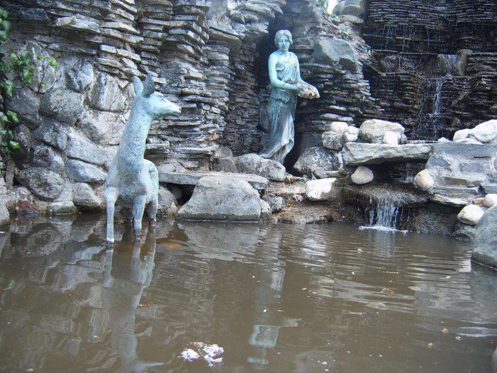 Hotel Thermal Park *
