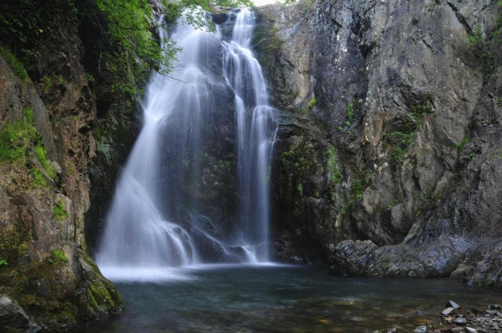 Hotel Thermal Park Yalova (Yalova)