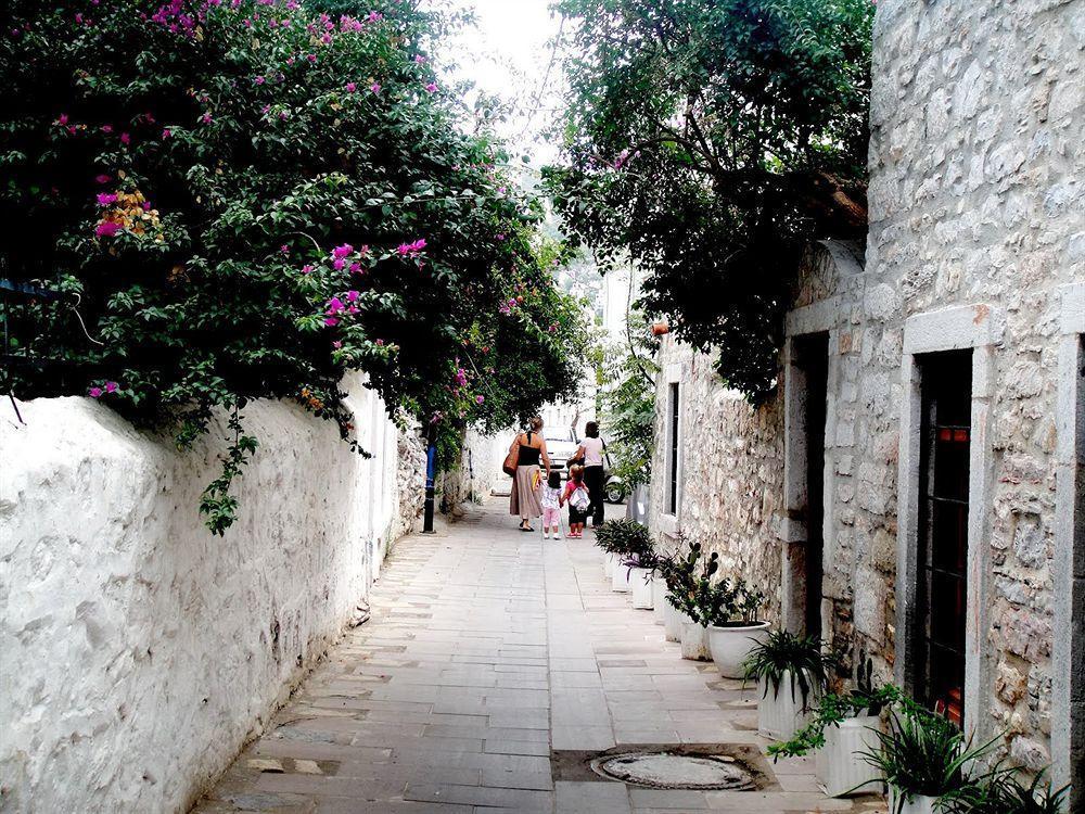 Denizati Pension