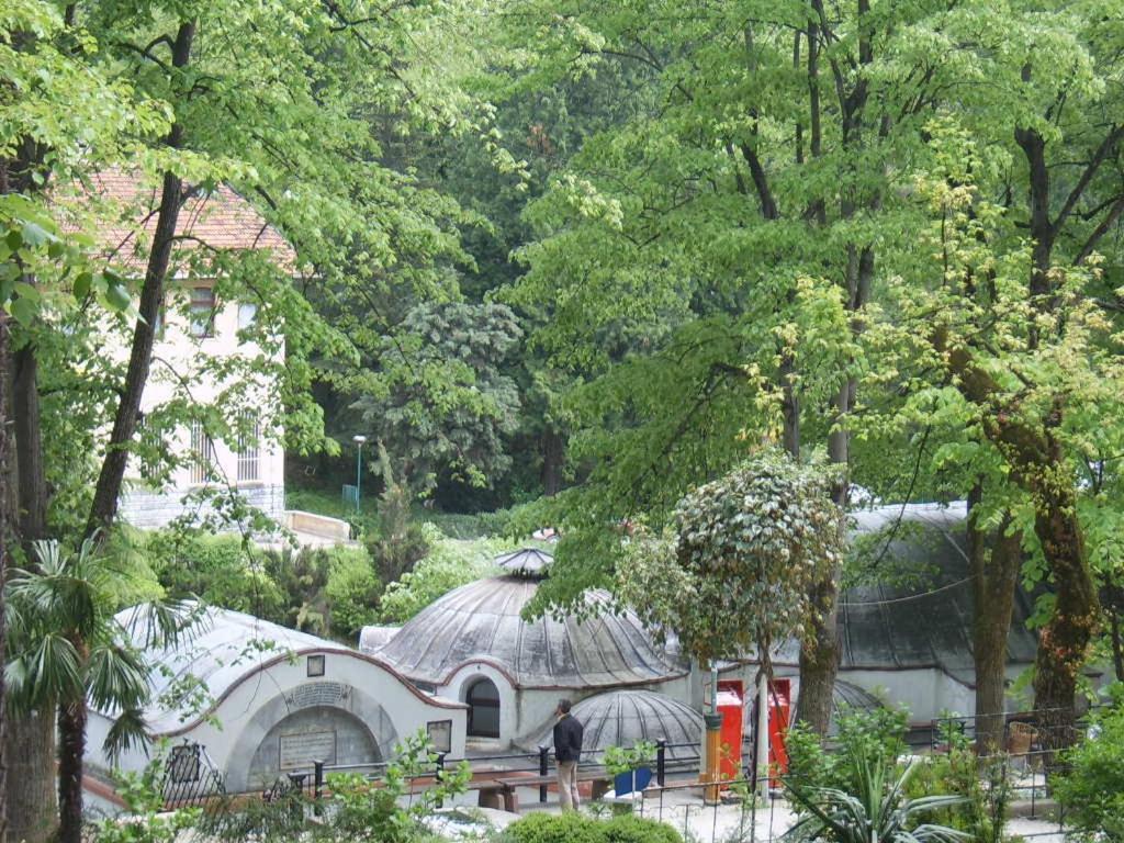 Hotel Thermal Park *