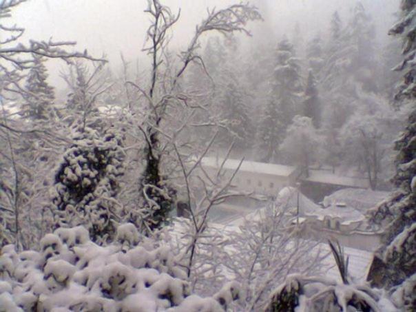 Thermal Park Hotel *