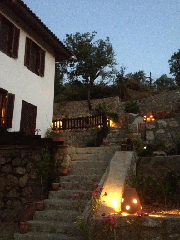 Selimiye
