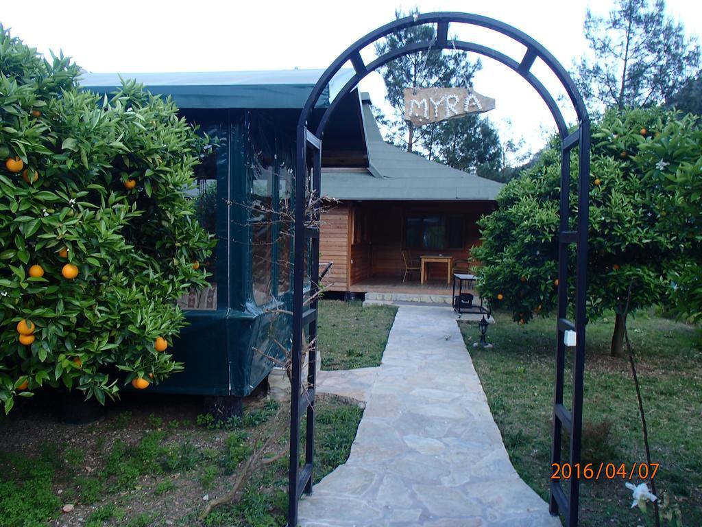 Arcadia Villa *
