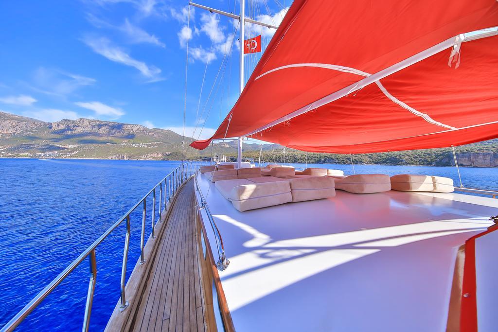  Blue Cruise