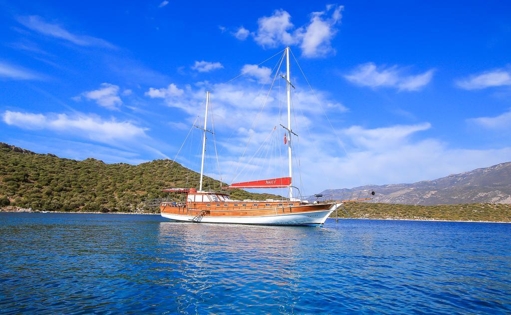 Blue Cruise 