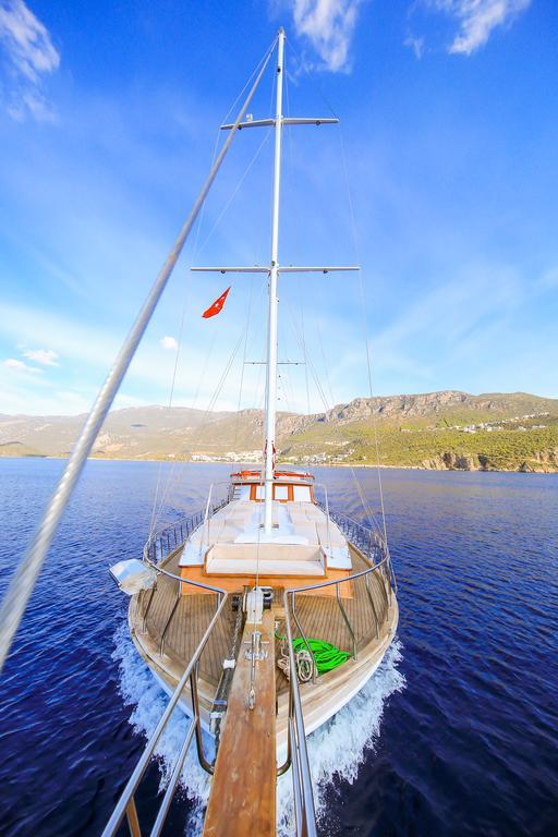  Blue Cruise