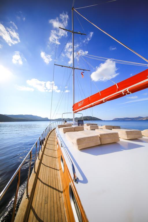 Blue Cruise *