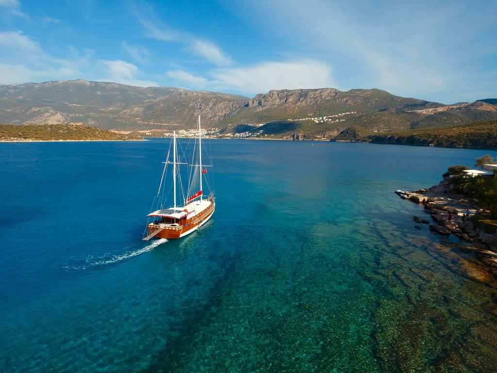 Blue Cruise *