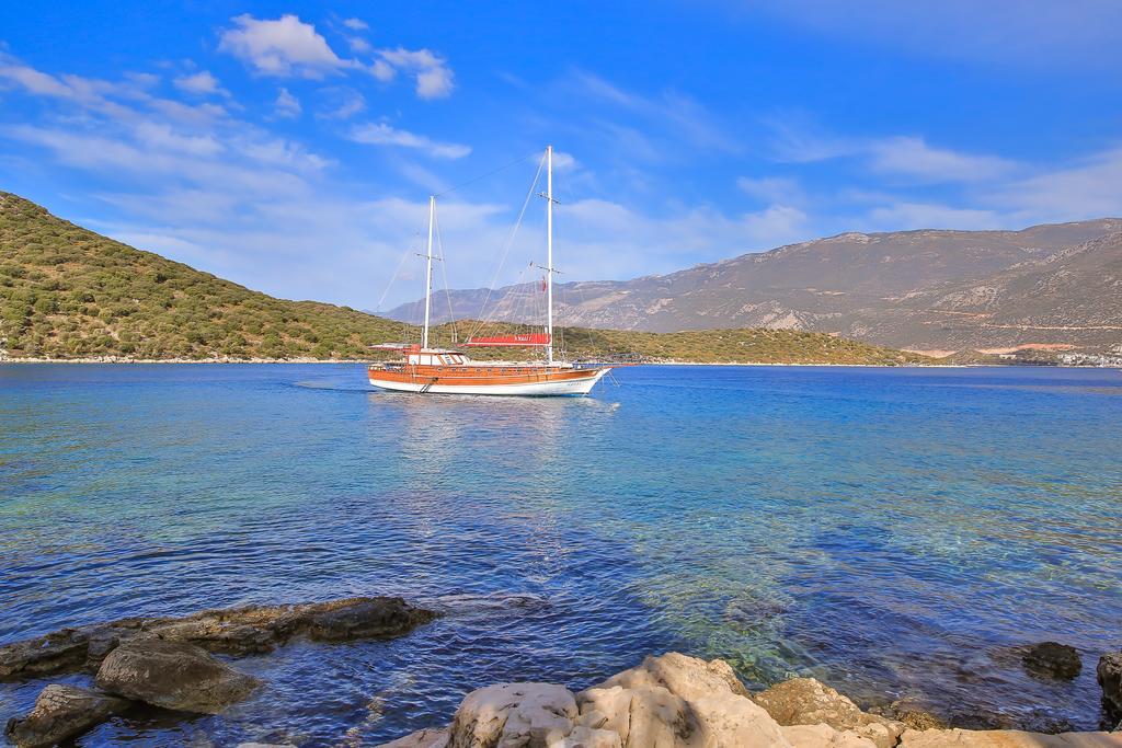 Blue Cruise