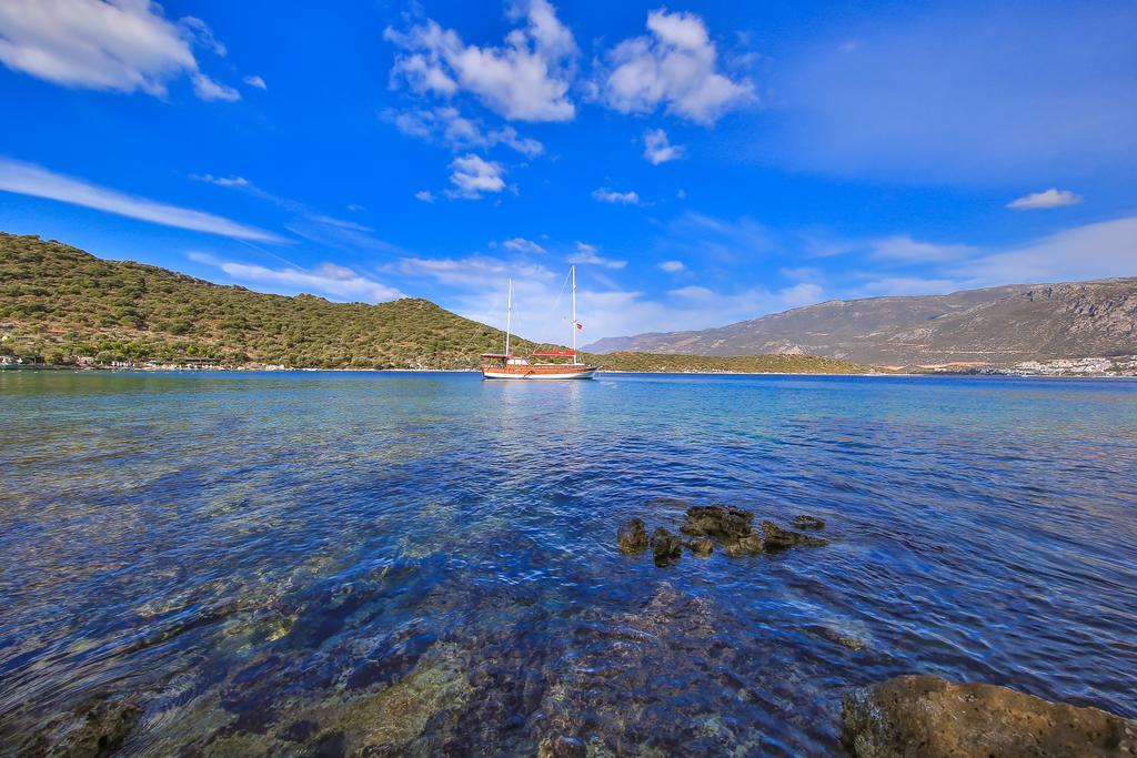 Blue Cruise 