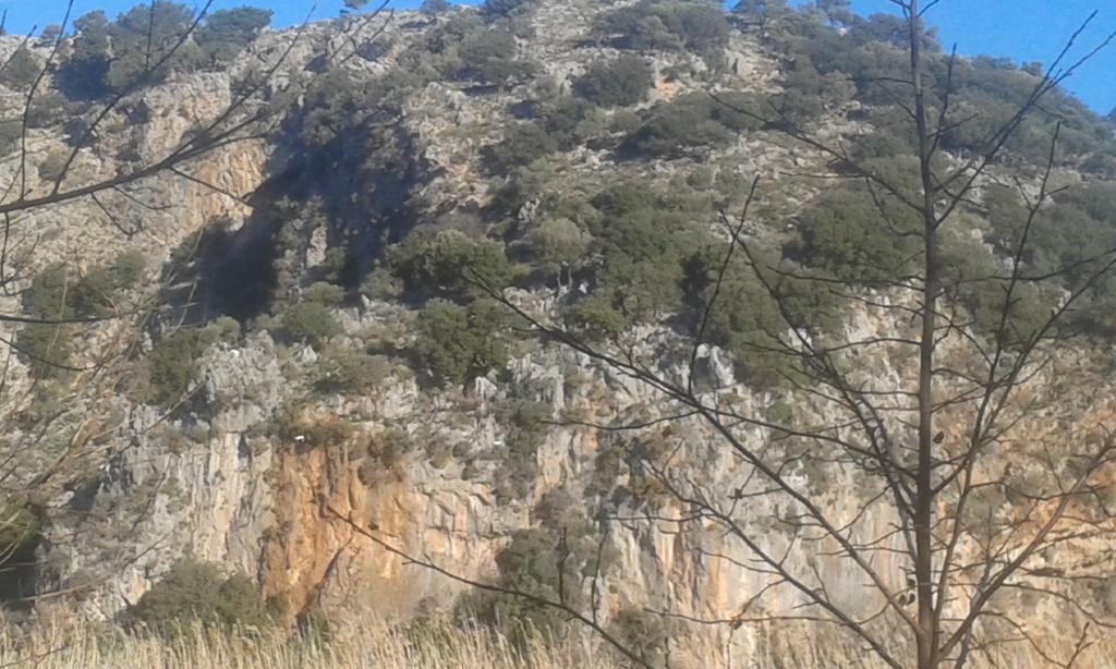 Gala Apartment Dalyan