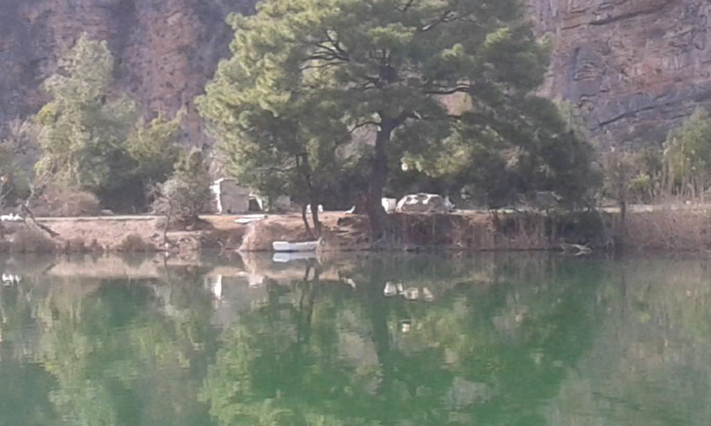 Gala Apartment Dalyan
