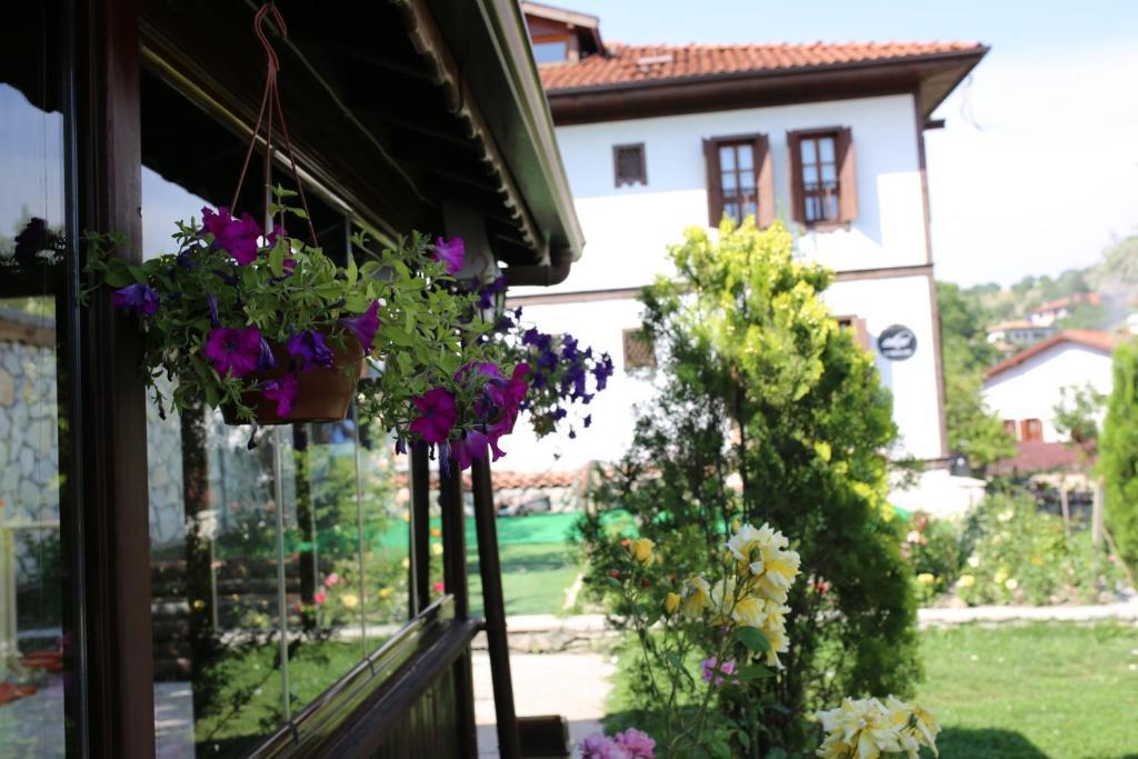 Akce Guest house