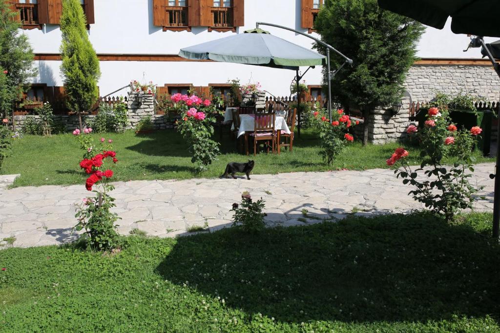 Guest house Akce