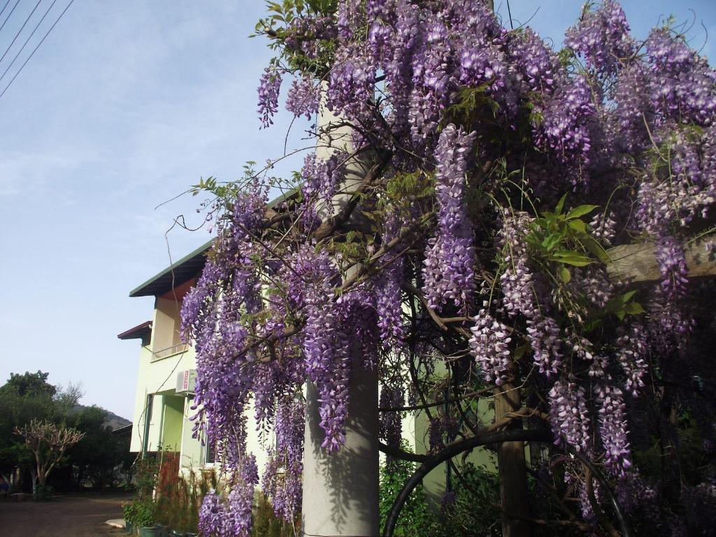 Mercan Bed & Breakfast 3*