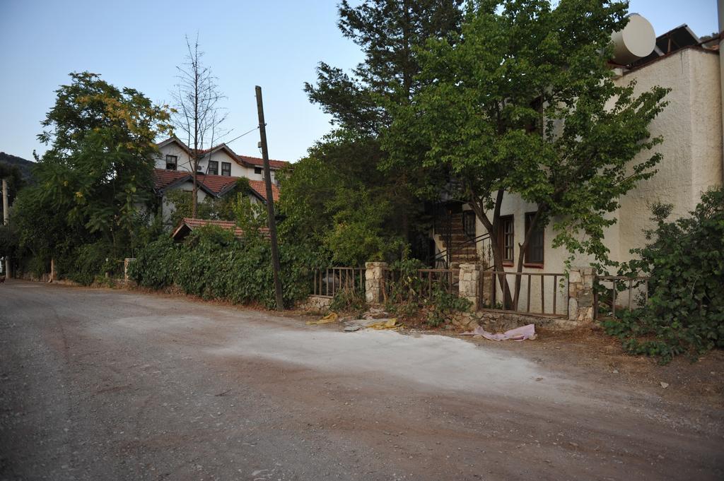 Koyevi *