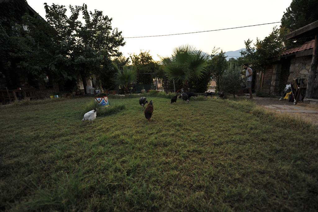 Koyevi Guest house Olympos