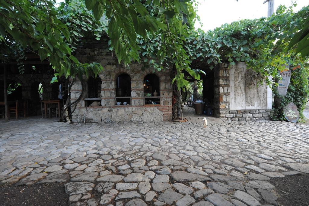 Koyevi * Olympos