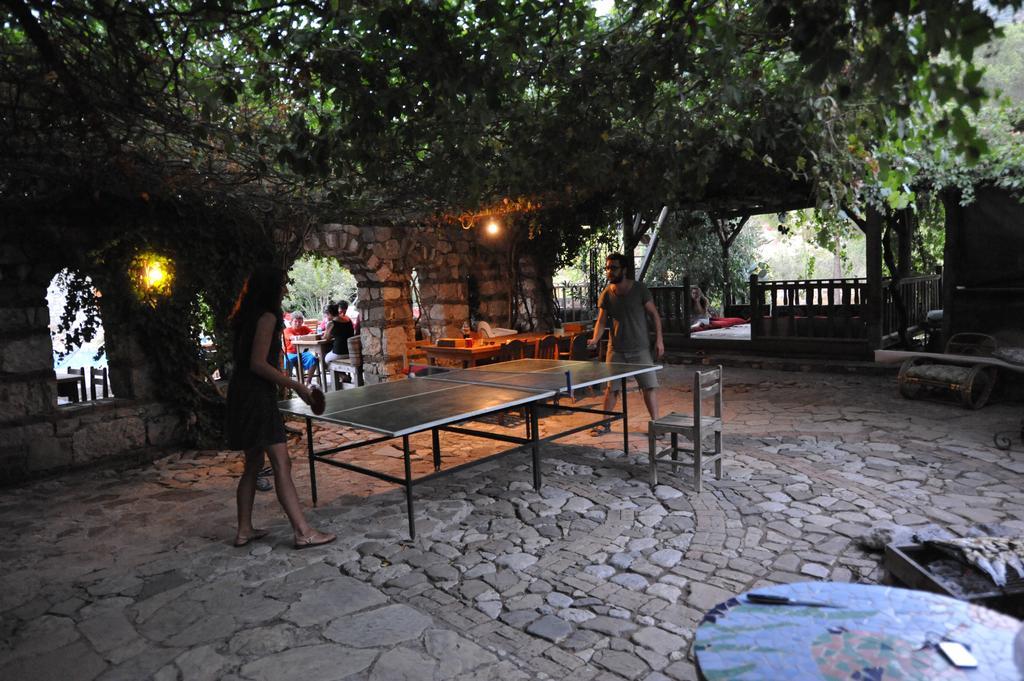 Guest house Koyevi