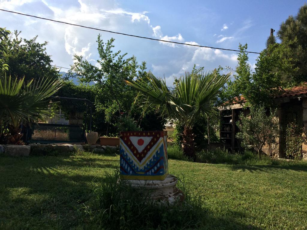 Koyevi * Olympos