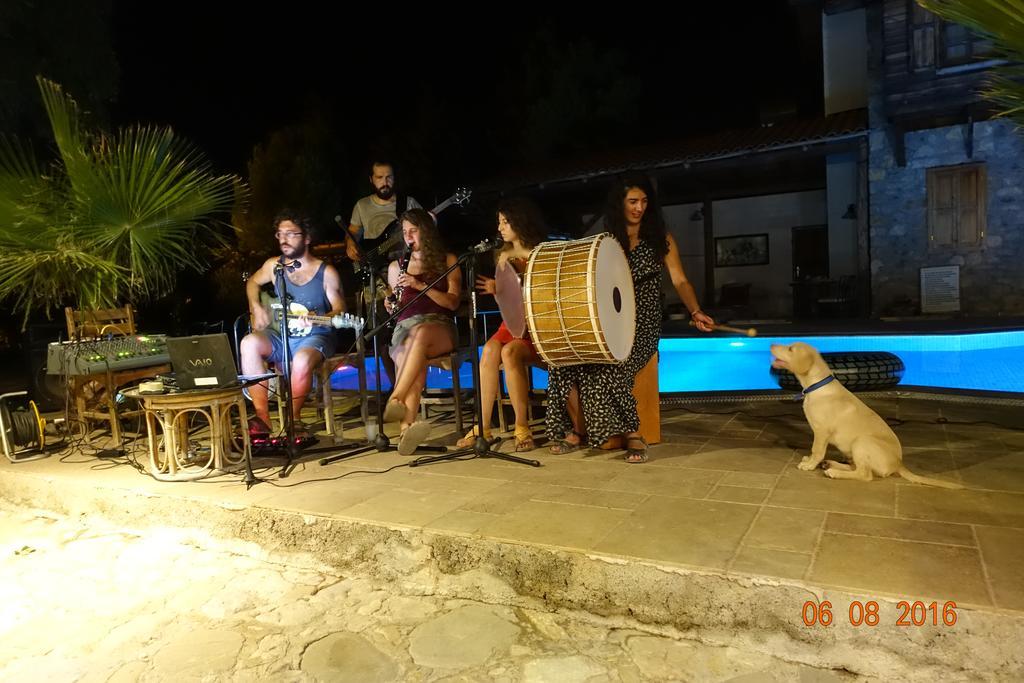 Koyevi Guest house *