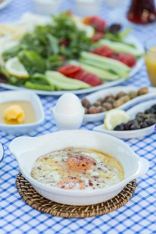 Deniz Kabugu