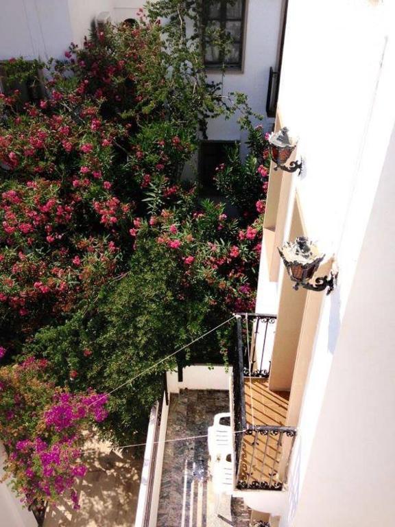 Resort Yildiz Bitez