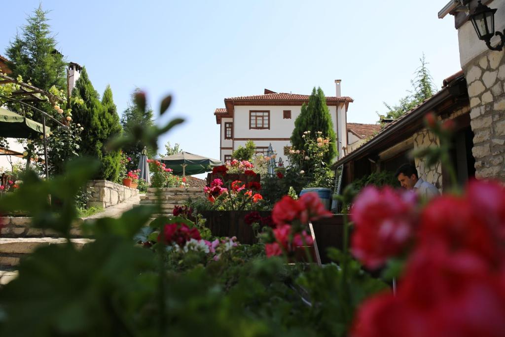 Akce Safranbolu