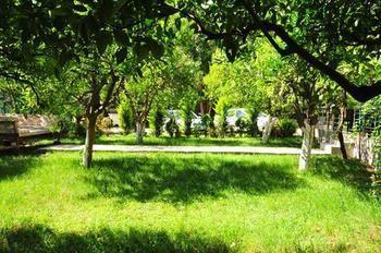 Ikiz Homestay Cirali