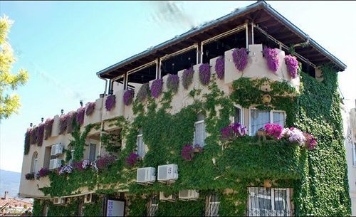Hotel Bella