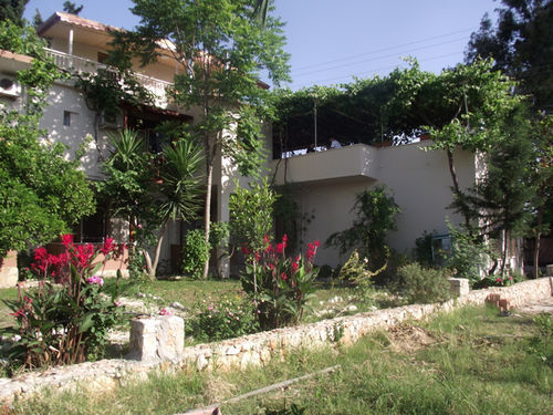 Golden Patara