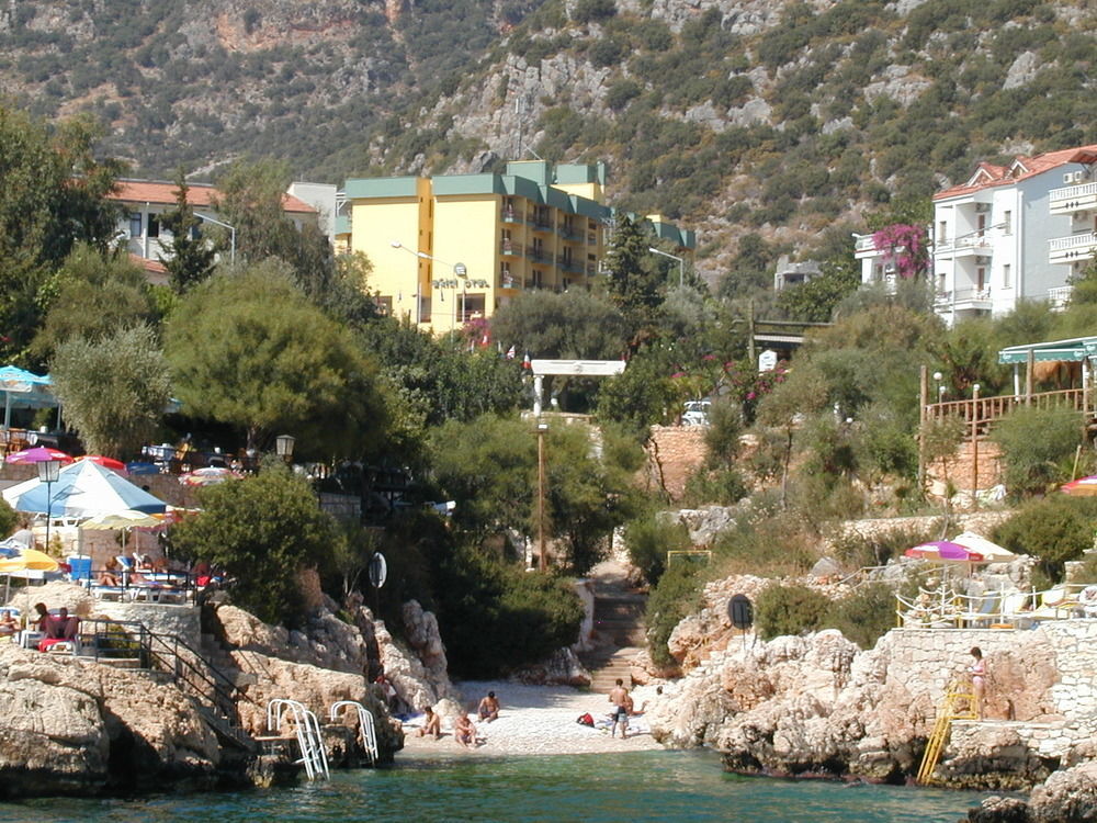 Ekici 3*
