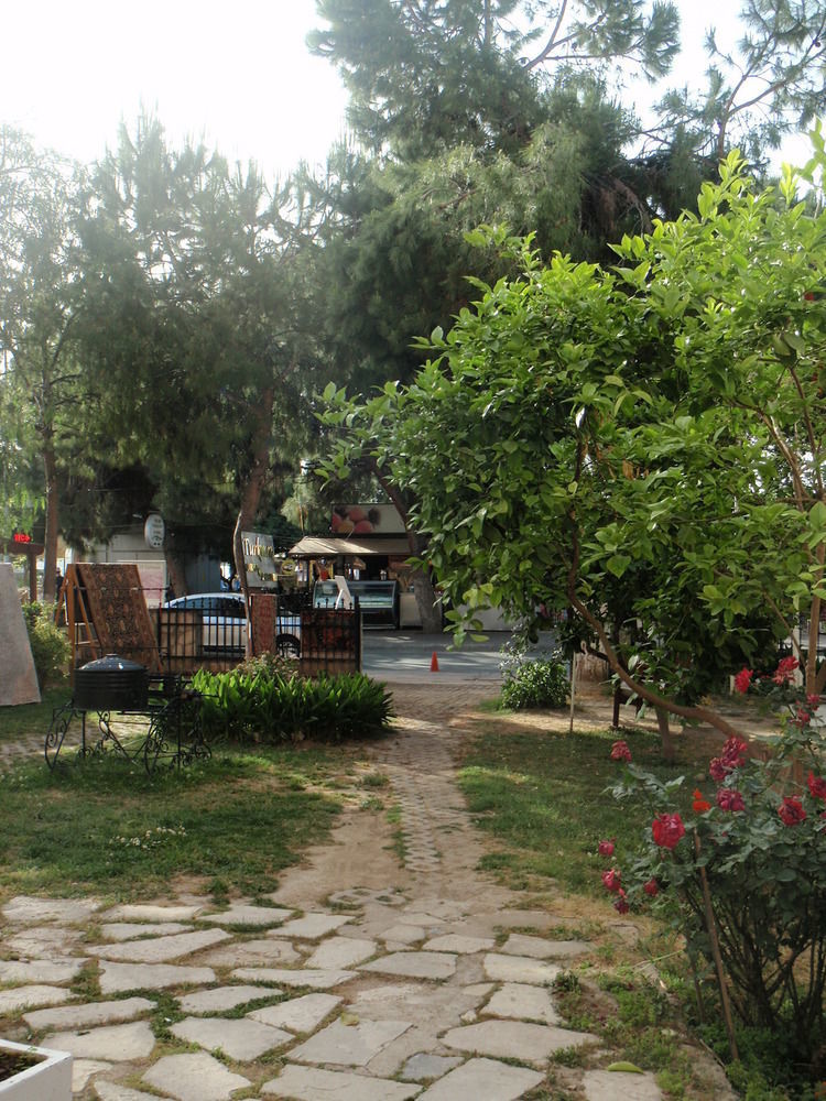 Liman