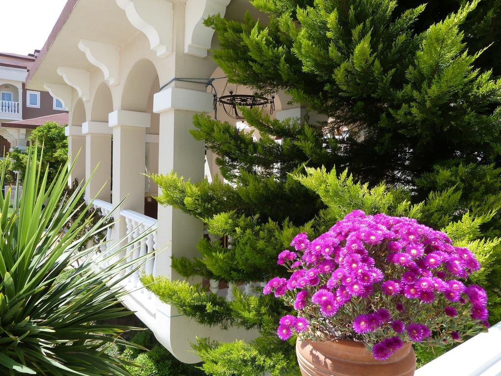 Resort Garden Bergamot