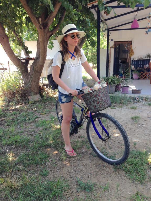 Homestay Friends Pension&camping *