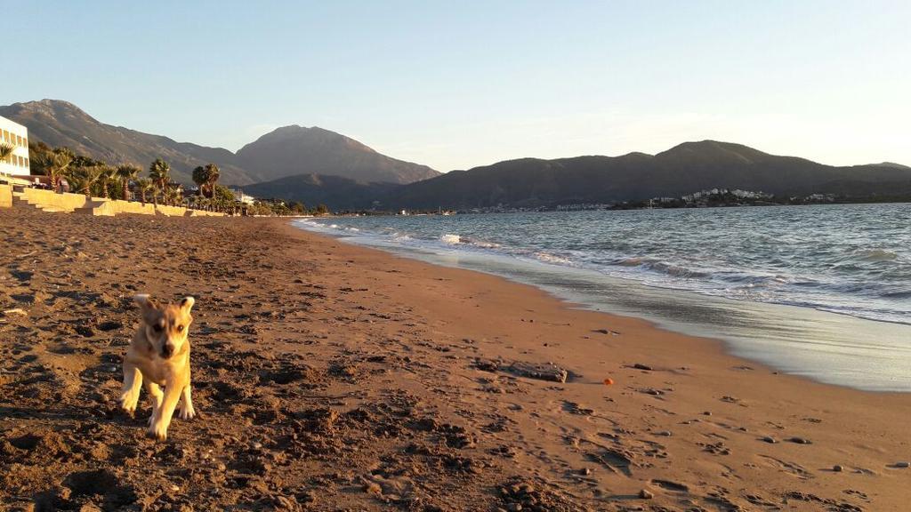 Hotel Hera Beach Hotel Gcr