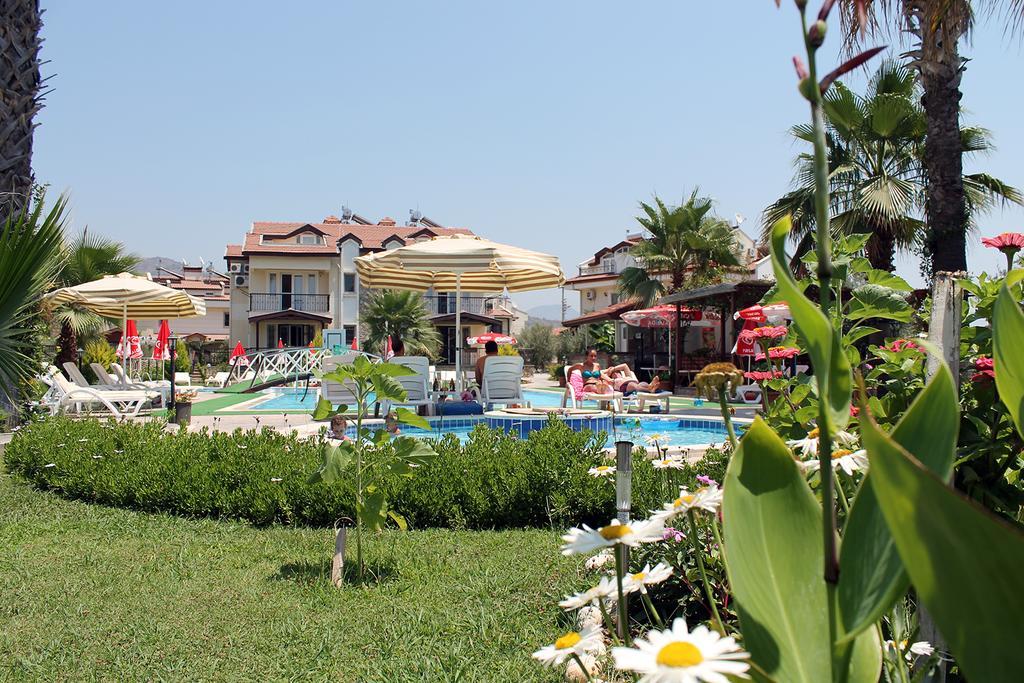 Lale Fethiye