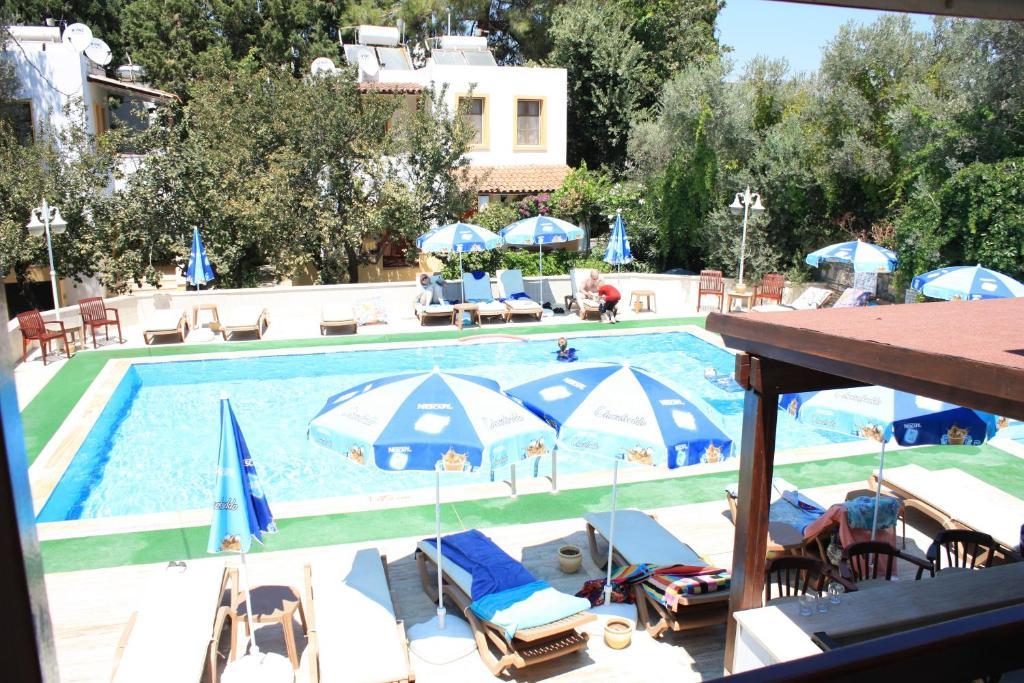 Hotel Toloman