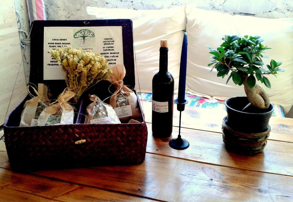 Dionysos Guest house Cirali