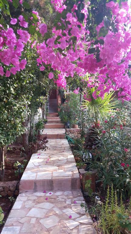 Koknar Guest house Kas