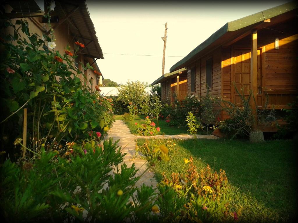 Sera Guest house *